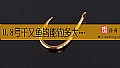 《0.8号千又鱼钩能钓多大鱼？》封面图