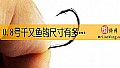 《0.8号千又鱼钩尺寸有多大？》封面图