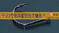 千又2号鱼钩能钓多大鲤鱼?
