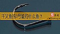 《千又鱼钩3号能钓什么鱼？》封面图
