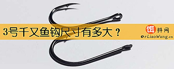 3号千又鱼钩尺寸有多大