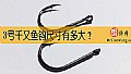《3号千又鱼钩尺寸有多大？》封面图