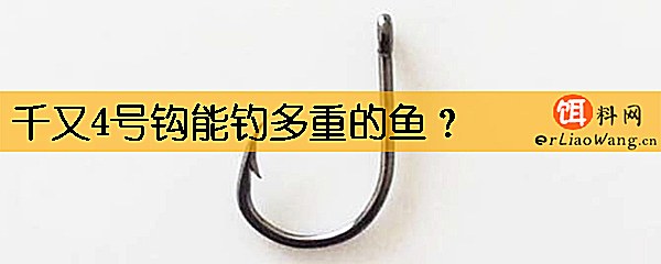 千又4号钩能钓多重的鱼