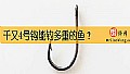 《千又4号钩能钓多重的鱼？》封面图
