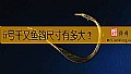 《5号千又鱼钩尺寸有多大?》封面图