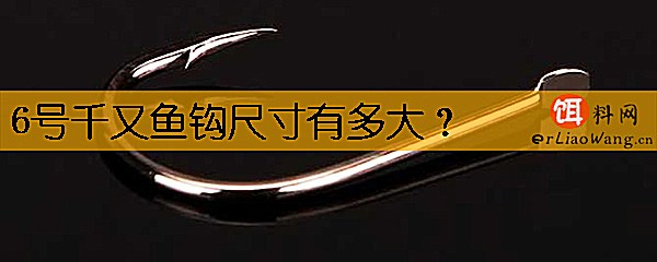 6号千又鱼钩尺寸有多大