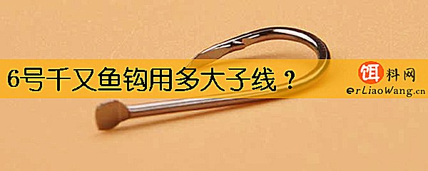 6号千又鱼钩用多大子线