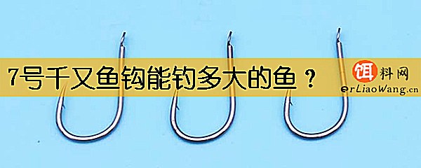 7号千又鱼钩能钓多大的鱼
