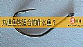 丸世鱼钩适合钓什么鱼？
