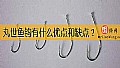 丸世鱼钩有什么优点和缺点？