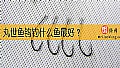 《丸世鱼钩钓什么鱼最好？》封面图