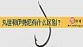 《丸世和伊势尼有什么区别？》封面图