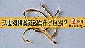 《丸世钩和溪流钩有什么区别？》封面图