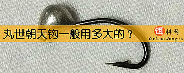 丸世朝天钩一般用多大的