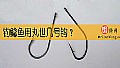 《钓鲶鱼用丸世几号钩?》封面图