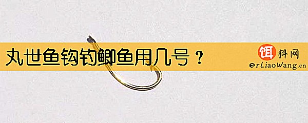 丸世鱼钩钓鲫鱼用几号