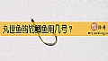 《丸世鱼钩钓鲫鱼用几号?》封面图