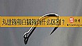 《丸世钩和白狐钩有什么区别？》封面图