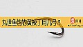 丸世鱼钩钓黄辣丁用几号?