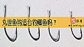 《丸世鱼钩适合钓鲫鱼吗？》封面图