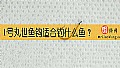 《1号丸世鱼钩适合钓什么鱼？》封面图