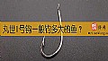 《丸世1号钩一般钓多大的鱼？》封面图
