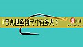 《1号丸世鱼钩尺寸有多大？》封面图