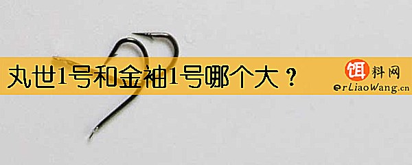 丸世1号和金袖1号哪个大