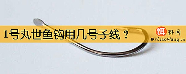 1号丸世鱼钩用几号子线