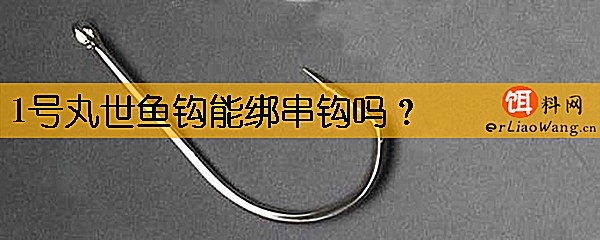 1号丸世鱼钩能绑串钩吗