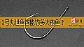 《2号丸世鱼钩能钓多大的鱼？》封面图