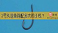 2号丸世鱼钩配多大的子线?