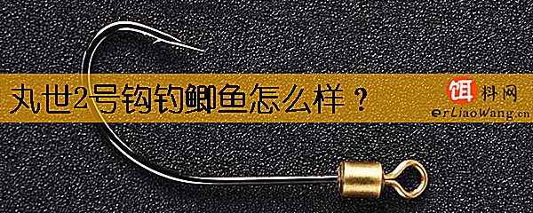 丸世2号钩钓鲫鱼怎么样