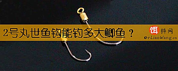 2号丸世鱼钩能钓多大鲫鱼