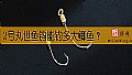 2号丸世鱼钩能钓多大鲫鱼?