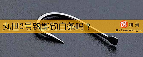 丸世2号钩能钓白条吗