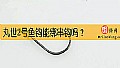 《丸世2号鱼钩能绑串钩吗？》封面图