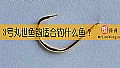 《3号丸世鱼钩适合钓什么鱼?》封面图