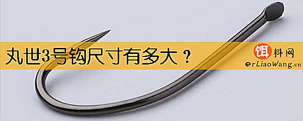 丸世3号钩尺寸有多大