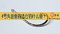 《4号丸世鱼钩适合钓什么鱼？》封面图