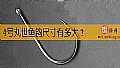 4号丸世鱼钩尺寸有多大？