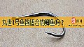 丸世4号鱼钩适合钓鲫鱼吗？