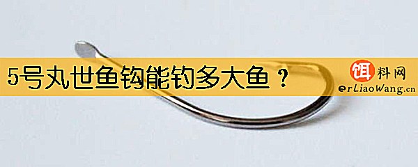 5号丸世鱼钩能钓多大鱼