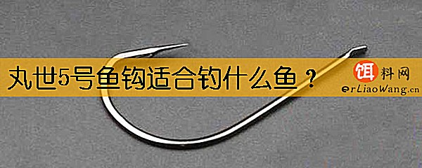 丸世5号鱼钩适合钓什么鱼