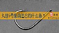 《丸世5号鱼钩适合钓什么鱼？》封面图
