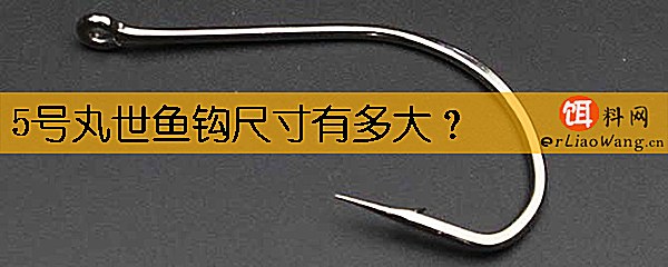 5号丸世鱼钩尺寸有多大