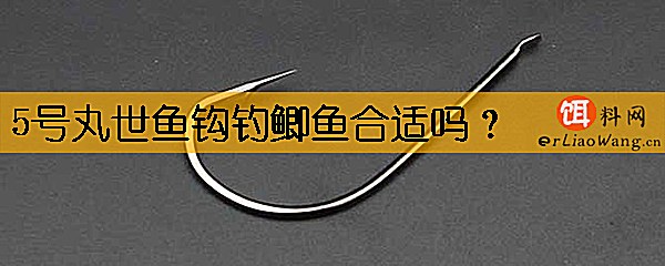 5号丸世鱼钩钓鲫鱼合适吗