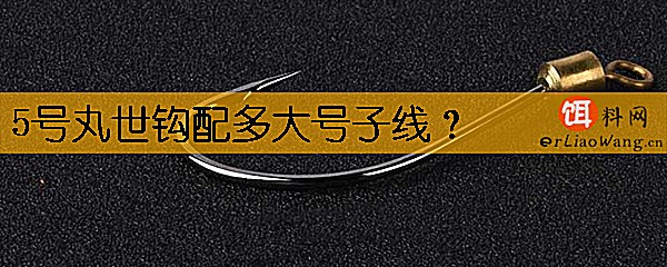 5号丸世钩配多大号子线