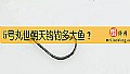 5号丸世朝天钩钓多大鱼?