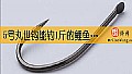 《5号丸世钩能钓1斤的鲤鱼吗？》封面图